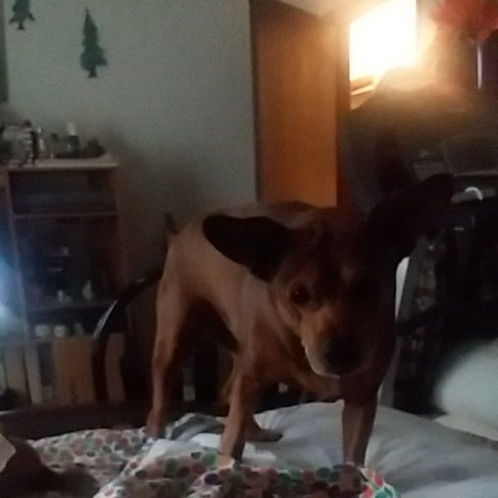 Meet your Posher, Christopher